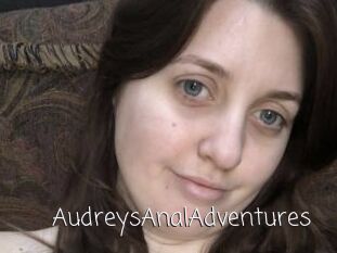 AudreysAnalAdventures