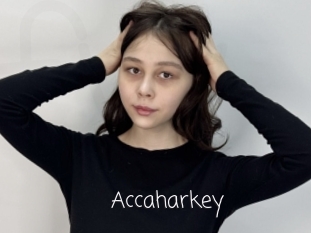 Accaharkey