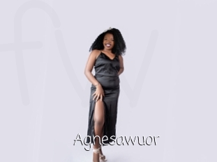 Agnesawuor