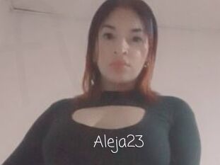 Aleja23