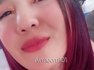 Amiecm101