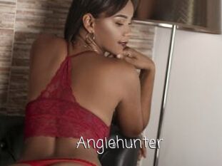 Angiehunter