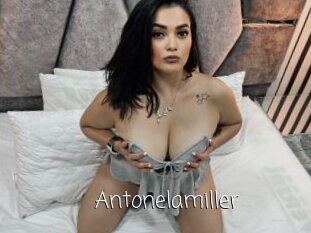 Antonelamiller