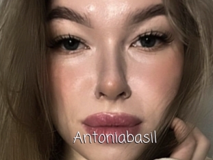 Antoniabasil