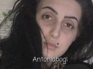 Antoniabogi