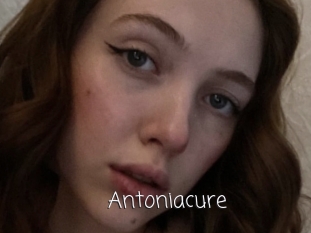 Antoniacure