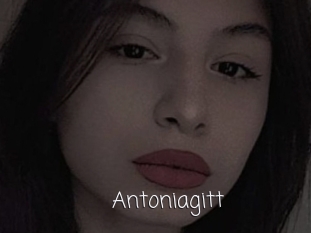 Antoniagitt