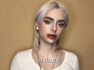 Aracaris