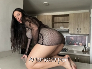 Arianacarpert