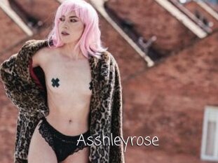 asshleyrose Fille Webcam