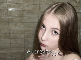 Audreybagge