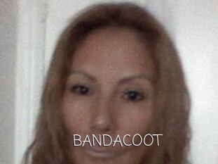 BANDACOOT