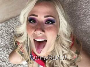 BunnyRabbit