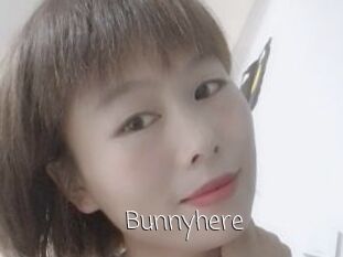 Bunnyhere