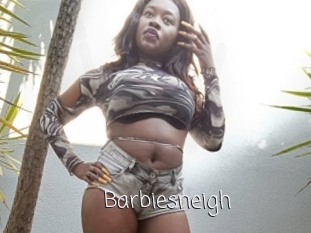 Barbiesneigh