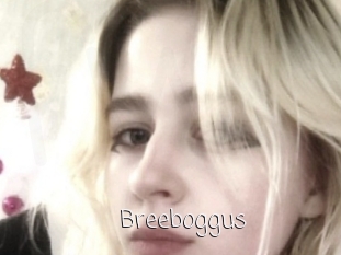 Breeboggus