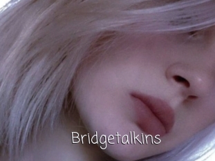 Bridgetalkins