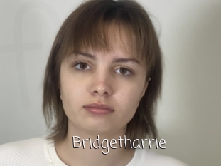 Bridgetharrie