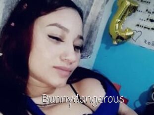 Bunnydangerous