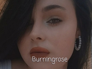 Burningrose
