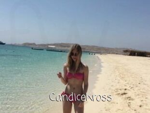 CandiceKross