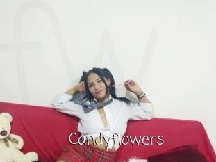 Candyflowers