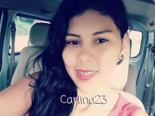 Carlina23