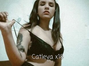 Catleya_x18