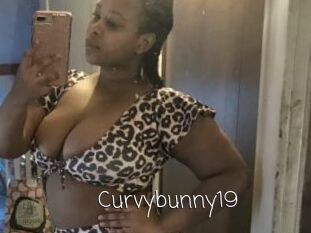 Curvybunny19