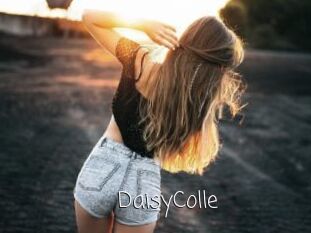 DaisyColle