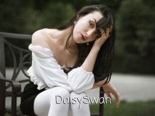 DaisySwan