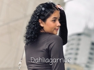 Dahliagarrido