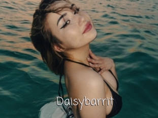 Daisybarrit