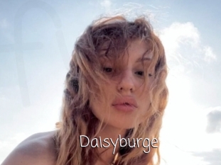 Daisyburge