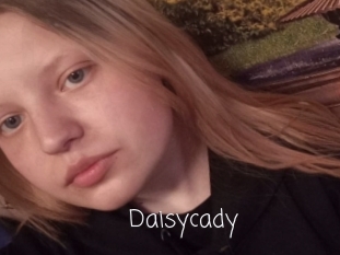 Daisycady