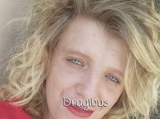 Dragibus