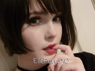 EllePurrsXO