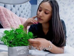 EllieVelvett