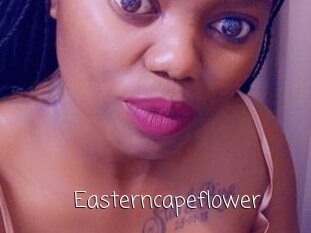 Easterncapeflower