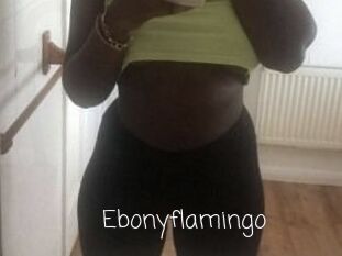 Ebony_flamingo