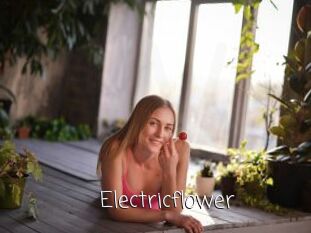 Electricflower