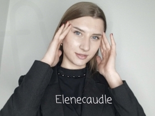 Elenecaudle