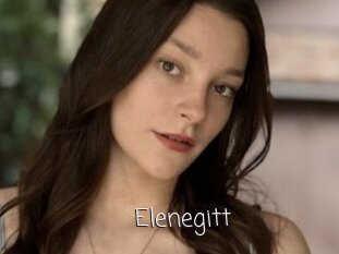 Elenegitt