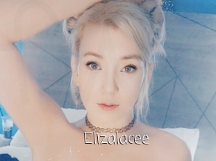 Elizalacee