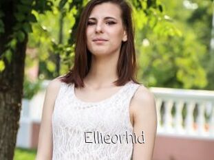 Ellieorhid