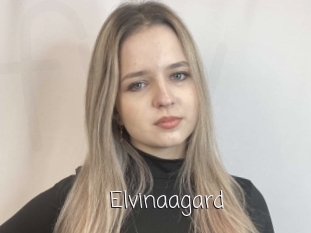 Elvinaagard