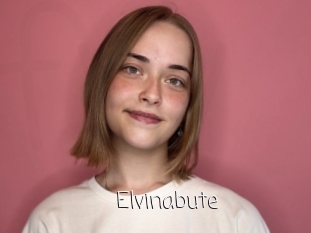 Elvinabute