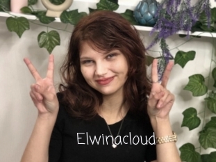 Elwinacloud