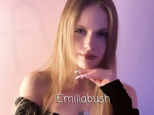 Emiliabush