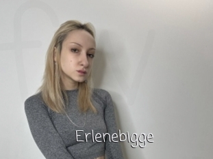 Erlenebigge